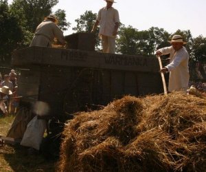 IX Podlaskie Święto Chleba