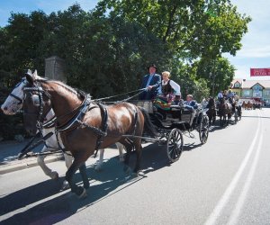 XVIII Podlaskie Święto Chleba - fotorelacja