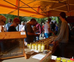 XVIII Podlaskie Święto Chleba - fotorelacja XVIII Podlaskie Święto Chleba - fotorelacja