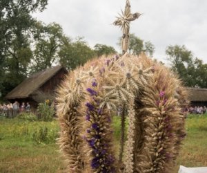 XVII Podlaskie Święto Chleba - fotorelacja XVII Podlaskie Święto Chleba - fotorelacja