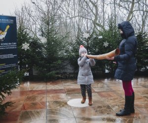 Ligawki 2017 - fotorelacja Ligawki 2017 - fotorelacja