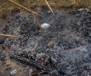 Jesień w Polu i Zagrodzie 2018 - fotorelacja