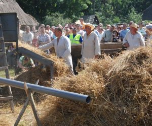 IX Podlaskie Święto Chleba IX Podlaskie Święto Chleba
