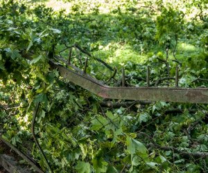 Nawałnica w Ciechanowcu