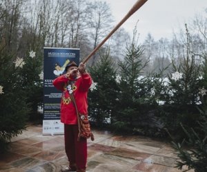 Ligawki 2017 - fotorelacja Ligawki 2017 - fotorelacja