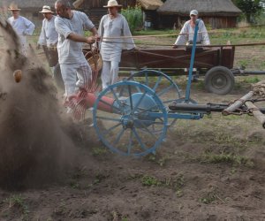 Niecodziennik muzealny - Uprawa ziemniaków w Polsce w XVIII i pierwszych dekadach XIX wieku. Niecodziennik muzealny - Uprawa ziemniaków w Polsce w XVIII i pierwszych dekadach XIX wieku.