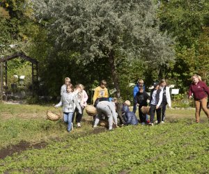 Jesień w polu i zagrodzie. Etnograficzny festiwal kultury ludowej 2022 - fotorelacja Jesień w polu i zagrodzie. Etnograficzny festiwal kultury ludowej 2022 - fotorelacja