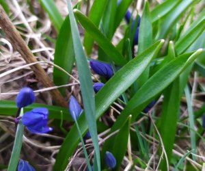 Codziennik Muzealny - Wiosna już zawitała Codziennik Muzealny - Wiosna już zawitała