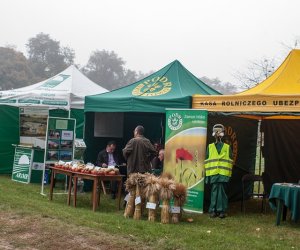 JESIEŃ W POLU I ZAGRODZIE JESIEŃ W POLU I ZAGRODZIE