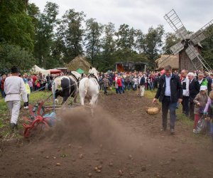 Jesień w Polu i Zagrodzie 2018 - fotorelacja
