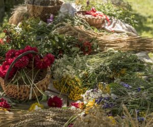 DZIAŁ PROMOCJI DZIAŁ PROMOCJI