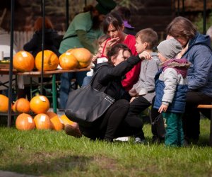 Impreza plenerowa - Jesień w Polu i Zagrodzie
