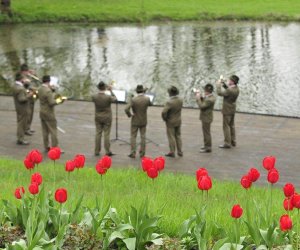 JARMARK ŚW. WOJCIECHA