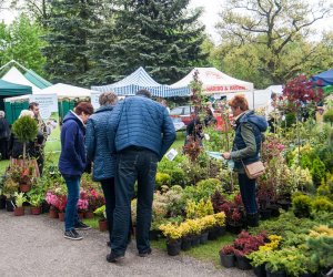 Jarmark św. Wojciecha i Święto Lasu Jarmark św. Wojciecha i Święto Lasu
