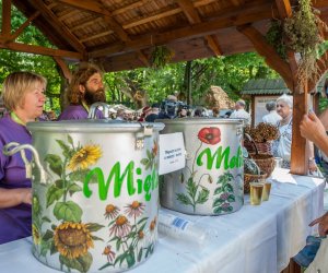 Święto Chleba po raz trzynasty