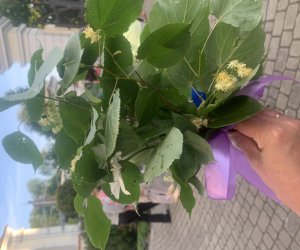 NIECOdziennik Muzealny - Żywa tradycja