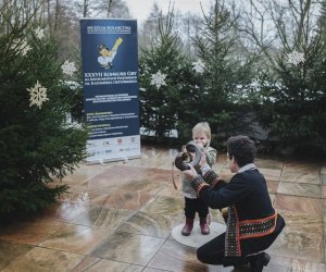 Ligawki 2017 - fotorelacja Ligawki 2017 - fotorelacja