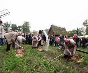 JESIEŃ W POLU I ZAGRODZIE JESIEŃ W POLU I ZAGRODZIE