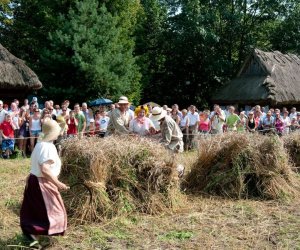 X PODLASKIE ŚWIĘTO CHLEBA