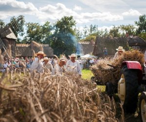 XVIII Podlaskie Święto Chleba - fotorelacja XVIII Podlaskie Święto Chleba - fotorelacja