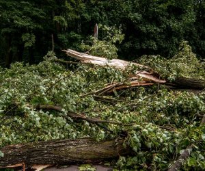 Nawałnica w Ciechanowcu Nawałnica w Ciechanowcu