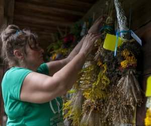 XX Podlaskie Święto Chleba - fotorelacja XX Podlaskie Święto Chleba - fotorelacja
