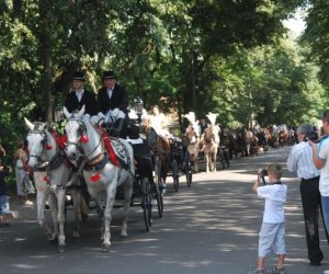 IX Podlaskie Święto Chleba IX Podlaskie Święto Chleba