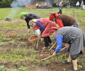 Wykopki w skansenie podsumowanie, fotorelacja. Wykopki w skansenie podsumowanie, fotorelacja.