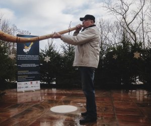 Ligawki 2017 - fotorelacja Ligawki 2017 - fotorelacja