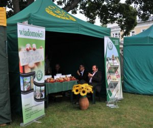 Wykopki w Skansenie Wykopki w Skansenie