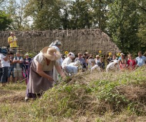 XVI Podlaskie Święto Chleba