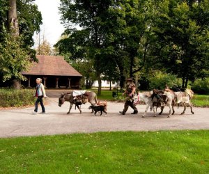 W drodze do Mongolii... W drodze do Mongolii...