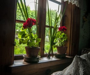 Siedem tygodni po Wielkanocy Siedem tygodni po Wielkanocy