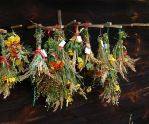 VIII PODLASKIE ŚWIĘTO CHLEBA VIII PODLASKIE ŚWIĘTO CHLEBA