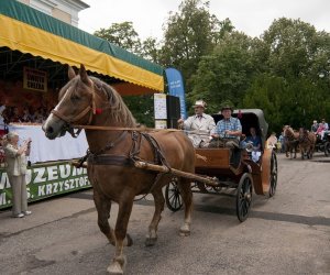 XVI Podlaskie Święto Chleba