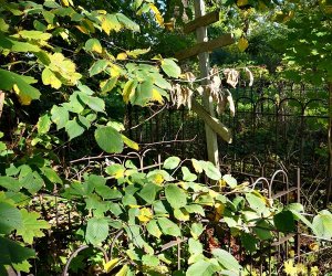 Śladami Podlaskich Staroobrzędowców Śladami Podlaskich Staroobrzędowców