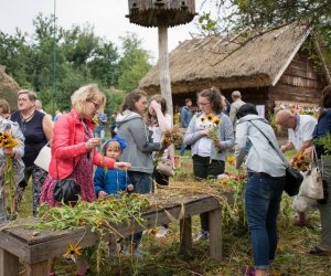 XVII Podlaskie Święto Chleba - fotorelacja XVII Podlaskie Święto Chleba - fotorelacja