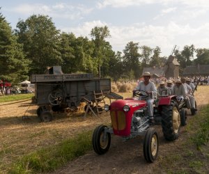 XX Podlaskie Święto Chleba - fotorelacja