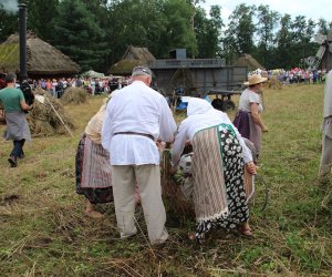 XVI Podlaskie Święto Chleba