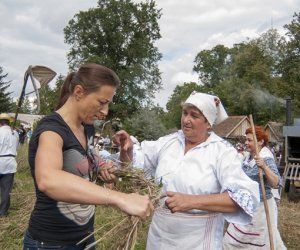 XVI Podlaskie Święto Chleba