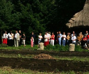 Wykopki w skansenie 2009