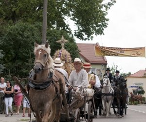 XVI Podlaskie Święto Chleba