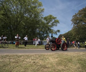 Piknik "Poznaj Zdrową Żywność" - fotorelacja Piknik "Poznaj Zdrową Żywność" - fotorelacja