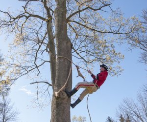 Jarmark św. Wojciecha - fotorelacja Jarmark św. Wojciecha - fotorelacja