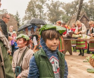 Wykopki w Skansenie 2013