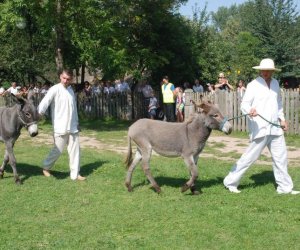 IX Podlaskie Święto Chleba