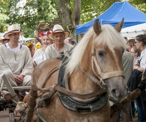 XVI Podlaskie Święto Chleba
