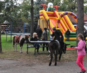 Wykopki w Skansenie Wykopki w Skansenie