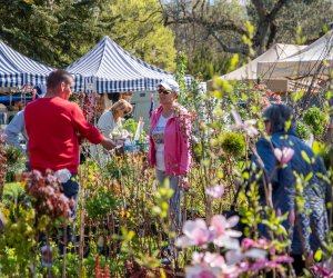 Jarmark św. Wojciecha A.D. 2023 - podsumowanie i fotorelacja Jarmark św. Wojciecha A.D. 2023 - podsumowanie i fotorelacja