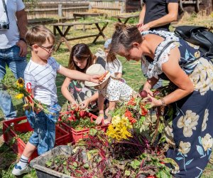 XXII Podlaskie Święto Chleba - fotorelacja